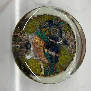 Vintage Flat Thick Glass Owl Bird Paperweight Foil Art 1970